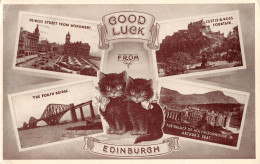 R296052 Good Luck From Edinburgh. Cats. Dennis. 1955. Multi View - Wereld
