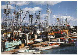 72582852 Santa_Barbara_California Harbour Fishing Fleet - Autres & Non Classés