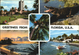 72582811 Florida_US-State Golfplatz Strand Krokodil - Sonstige & Ohne Zuordnung