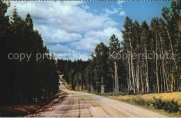 72582731 Arizona_US-State Kaibab National Forest - Altri & Non Classificati