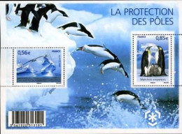 FRANCE 2009 PROTECTION OF THE POLAR REGIONS MINIATURE SHEET MS MNH - Sonstige & Ohne Zuordnung