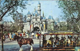 72579346 Disneyland_Orlando Sleeping Beauty Castle Fantasyland - Altri & Non Classificati