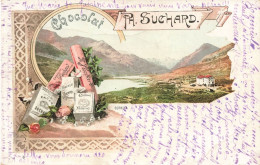 CHOCOLAT SUCHARD - BERNINA - CARTE PRECURSEUR Voyagée 1902 - Suchard