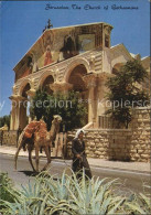 72531565 Jerusalem Yerushalayim The Church Of Gethsemane  - Israel