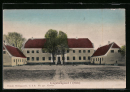 AK Lyngsbaekgaard /Mols, Blick Auf Ein Gutshaus  - Denmark