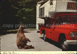 72528644 Yellowstone_National_Park Hold Up Bear - Andere & Zonder Classificatie
