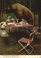 72528643 Yellowstone_National_Park Bear Joins The Picnic - Autres & Non Classés