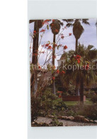 72526744 Santa_Barbara_California Mission Gardens - Altri & Non Classificati