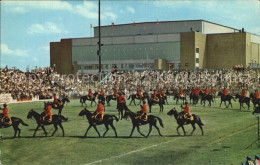 72519965 Winnipeg Royal Canadian Mounted Police Musical Ride Winnipeg - Unclassified