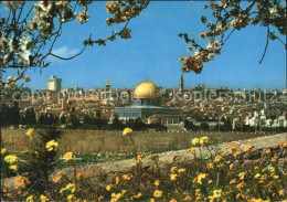 72509895 Jerusalem Yerushalayim Altstadt Blick Vom Olivenberg  - Israele