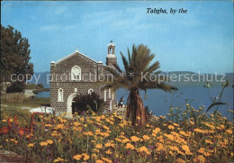 72503417 Tabgha Sankt Peters Kirche  Tabgha - Israel