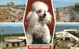 72503367 Morecambe Lancashire Sands Leisure Center Promenade Marineland Morecamb - Andere & Zonder Classificatie