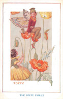 R299783 The Poppy Fairies. The Fairies In Our Garden. The Medici Society. Hale. - World