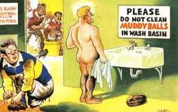 R296562 Please Do Not Clean Muddy Balls In Wash Basin. Comic Series. Bamforth. N - World