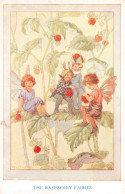 R299784 The Raspberry Fairies. The Fairies In Our Garden. The Medici Society. Ha - Wereld