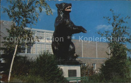 72498470 Maine The University Of Maine Fighting Black Bear - Autres & Non Classés