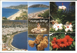 72493084 Alanya Fliegeraufnahme Straende Alanya - Türkei