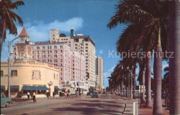 72486892 Miami_Florida Biscayne Blvd Looking North Hotels And Royal Palms - Other & Unclassified