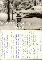 Ansichtskarte Kleinwelka Mały Wjelkow Saurierpark, Junge Dinosaurier 1987 - Sonstige & Ohne Zuordnung