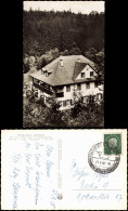 Bad Berneck Im Fichtelgebirge Pension Café Waldkurhaus Waldlust 1960 - Other & Unclassified