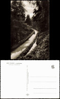 Ansichtskarte  Wanderweg Im Harz Oberharz (Allgemein) 1965 - Ohne Zuordnung