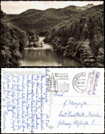 Bad Lauterberg Im Harz Umlandansicht Blick Wiesenbeker Teich  Ravensberg 1961 - Bad Lauterberg