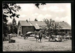 AK Marschalkenzimmern Bei Dornhan Im Schwarzwald, An Der Pension Waldeckhof  - Andere & Zonder Classificatie