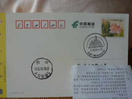 China Posted Postcard,with Shanghai Disney Postmark - Postcards