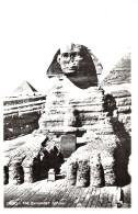 R330551 Cairo. The Excavated Sphinx. Forte - Monde