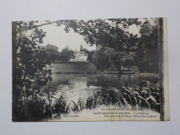 SAINT MARTIN D'ABLOIS  Le Chateau  Vue Prise De La Pièce D'Eau Des Cygnes - Autres & Non Classés