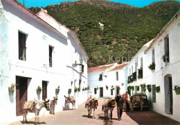 72856203 Mijas Esel Mijas - Andere & Zonder Classificatie