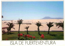 72856046 La Oliva Hotel Oliva Beach Palmen Wuestenlandschaft Fuerteventura Kanar - Otros & Sin Clasificación