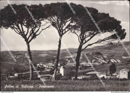 Bc778 Cartolina Saline Di Volterra Panorama Provincia Di Pisa - Pisa