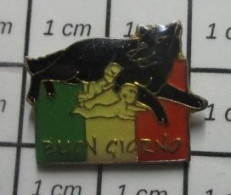 912c Pin's Pins / Beau Et Rare / ANIMAUX / LOUVE ROMAINE RoMULUS REMUS DRAPEAU ITALIE BUON GIORNO BONJOUR - Animali