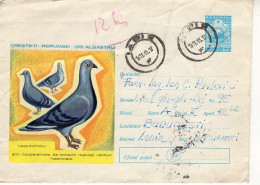ROMANIA 393y1963: Birds - PIGEONS, Used Prepaid Postal Stationery Cover - Registered Shipping! - Postwaardestukken