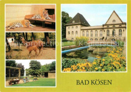 72854848 Bad Koesen Tierpark Bad Koesen - Bad Koesen