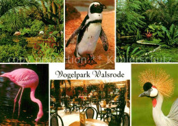 72854795 Walsrode Lueneburger Heide Vogelpark Walsrode - Walsrode