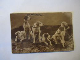 UNITED KINGDOM    POSTCARDS  ON THE MOORS    DOGS FAMILY  1920 - Hunde