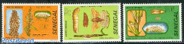 Senegal 1982 Insects 3v, Mint NH, Nature - Insects - Sénégal (1960-...)