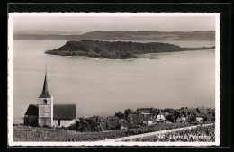 AK Ligerz, Ortspanorama Mit Blick Auf Die Petersinsel  - Sonstige & Ohne Zuordnung