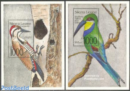 Sierra Leone 1992 Birds 2 S/s, Mint NH, Nature - Birds - Woodpeckers - Sonstige & Ohne Zuordnung