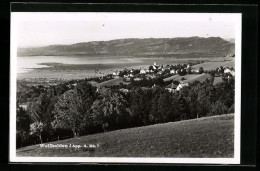 AK Wolfhalden, Panoramablick Von Der Bergwiese Aus  - Altri & Non Classificati