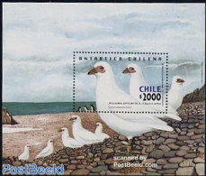 Chile 2001 Antarctic Region, Birds S/S, Mint NH, Nature - Science - Birds - The Arctic & Antarctica - Chili