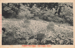 88-PLOMBIERES-N°T5277-B/0187 - Plombieres Les Bains