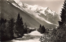 74-CHAMONIX L ARVE ET LE MONT BLANC-N°T5277-G/0287 - Chamonix-Mont-Blanc