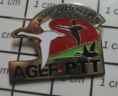 912c Pin's Pins / Beau Et Rare / ASSOCIATIONS / AGEF PTT LA MAISON D'ACCUEIL - Associations