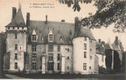 18-MEILLANT LE CHÂTEAU-N°T5277-F/0317 - Meillant