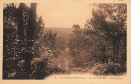 56-LE FAOUET-N°T5278-B/0231 - Le Faouet