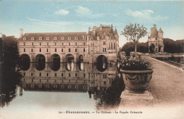 37-CHENONCEAUX LE CHÂTEAU-N°T5278-E/0101 - Chenonceaux