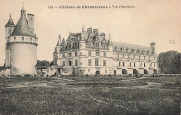 37-CHENONCEAUX LE CHÂTEAU-N°T5278-D/0117 - Chenonceaux